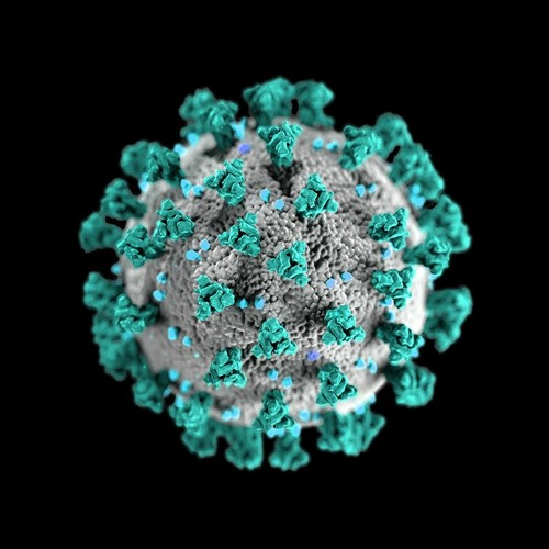 Quarantine Resolution