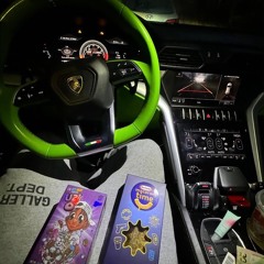 SHAWNY BINLADEN - I Hit The ROAD