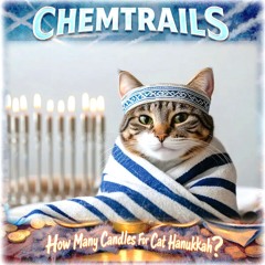 How Many Candles for Cat Hanukkah