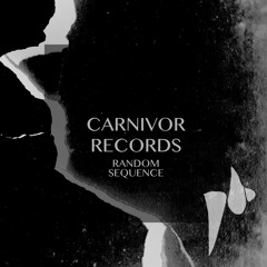 Random Sequence - Safe (Original Mix)