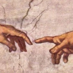 88666098-203 caTaHi3m