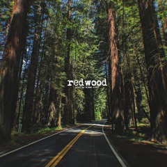 [FREE] Country Rap / Hick-Hop type beat "Redwood" (Prod. by Bubba Cliff)