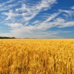 Проповедует брат Николай 18 июня  2023