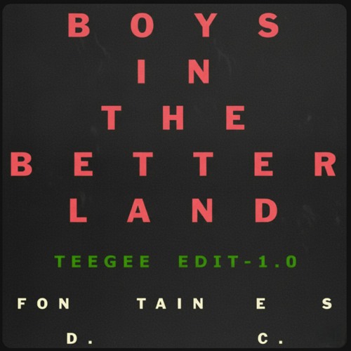 Fontaines D.C. - Boys in the Better Land (TeeGee Edit) 1.0