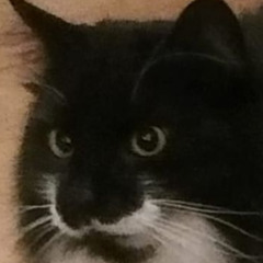 ALEPH - GESTALT Dmin REWORK v5 [2021]