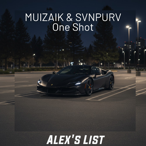 MUIZAIK & SVNPURV - One Shot