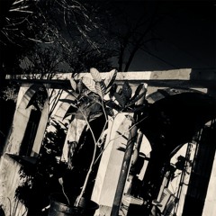 Fall Apart In Peace (ft. John Hoegerl)