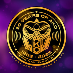 AKO Beatz - History Pt5 - Mixed by OSL