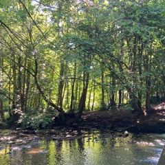 hold it gently (demo)