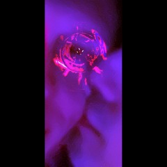 Adeus, Tiago [demo]
