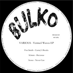 [PREMIERE] Never Can - Srono | Bulko Recordings [2025]