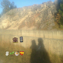 ivycraft - #Posya