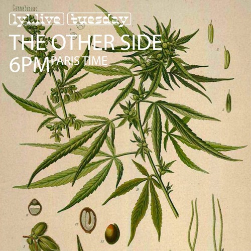 The Other Side 41, Lyl Radio 02/02/21