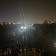 лес в тумане