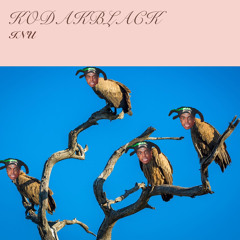 Kodak Black - INU (Slowed)