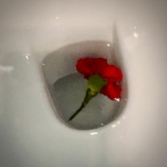 Vitriolic