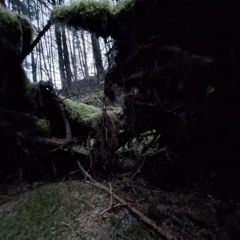 Cave dweller