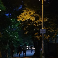 Popeye (Bangladesh) - Ekakittota (একাকীত্বতা)