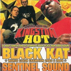 Sentinel Sound lgs Black Kat & Ruffpack at Kingston Hot, Stuttgart, GER, 4.2006