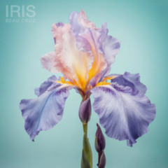 Iris - Beau Cruz Remix (Extended Version)