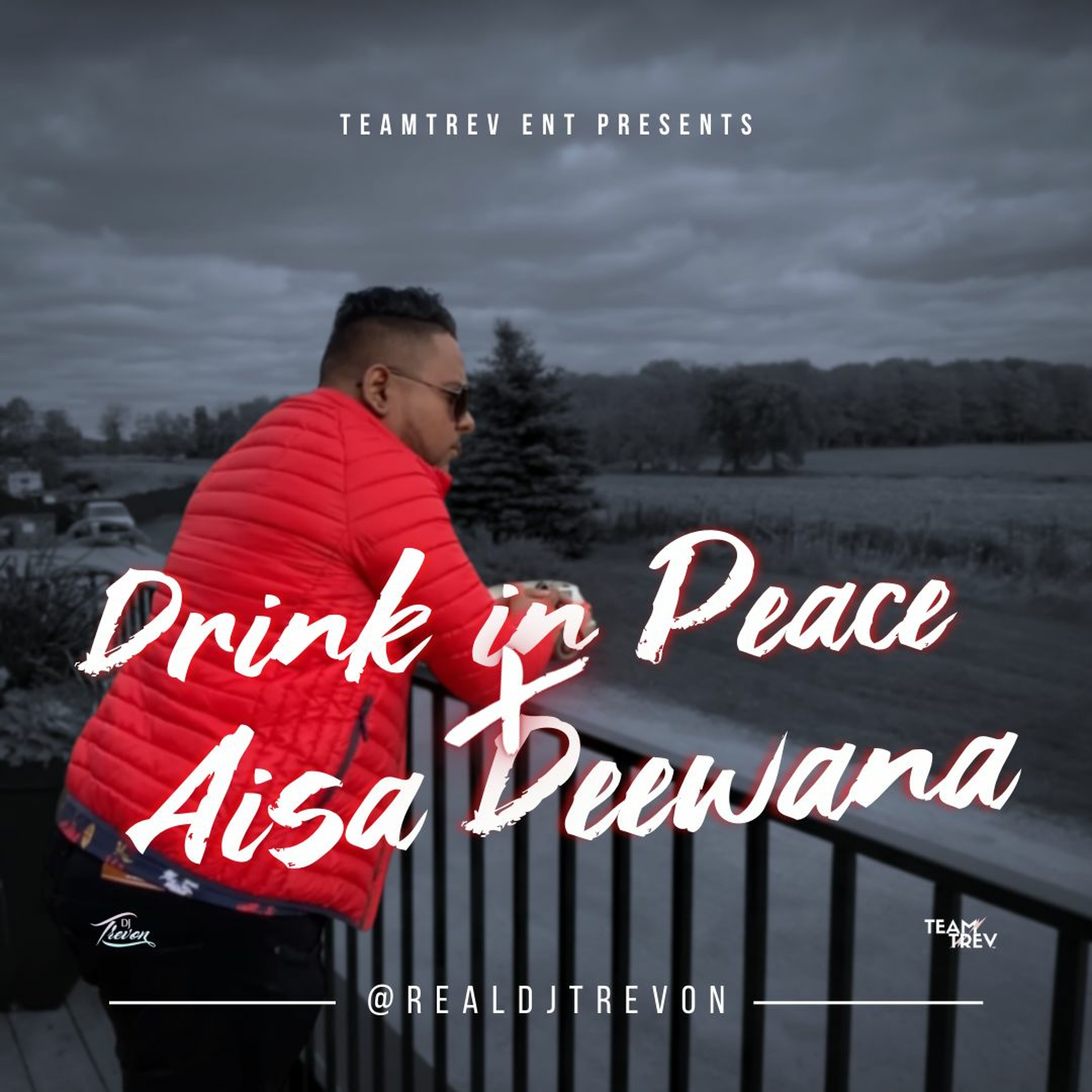 Drink In Peace X Aisa Deewana - DJ Trevon episode artwork