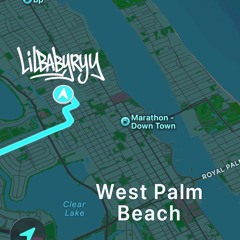 LIL W3STT - WEST PALM BEACH BABY 🌴 (FAST)