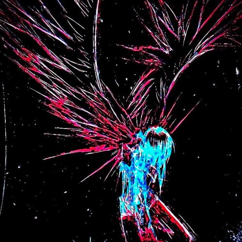 Dissolution