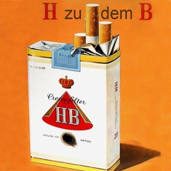 Kippenhaus - H zu dem B (Khouse 2)