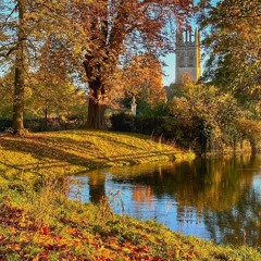 Oxford Autumn Leaves