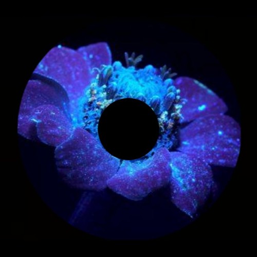 ULTRAVIOLET | Drum and Bass Mix