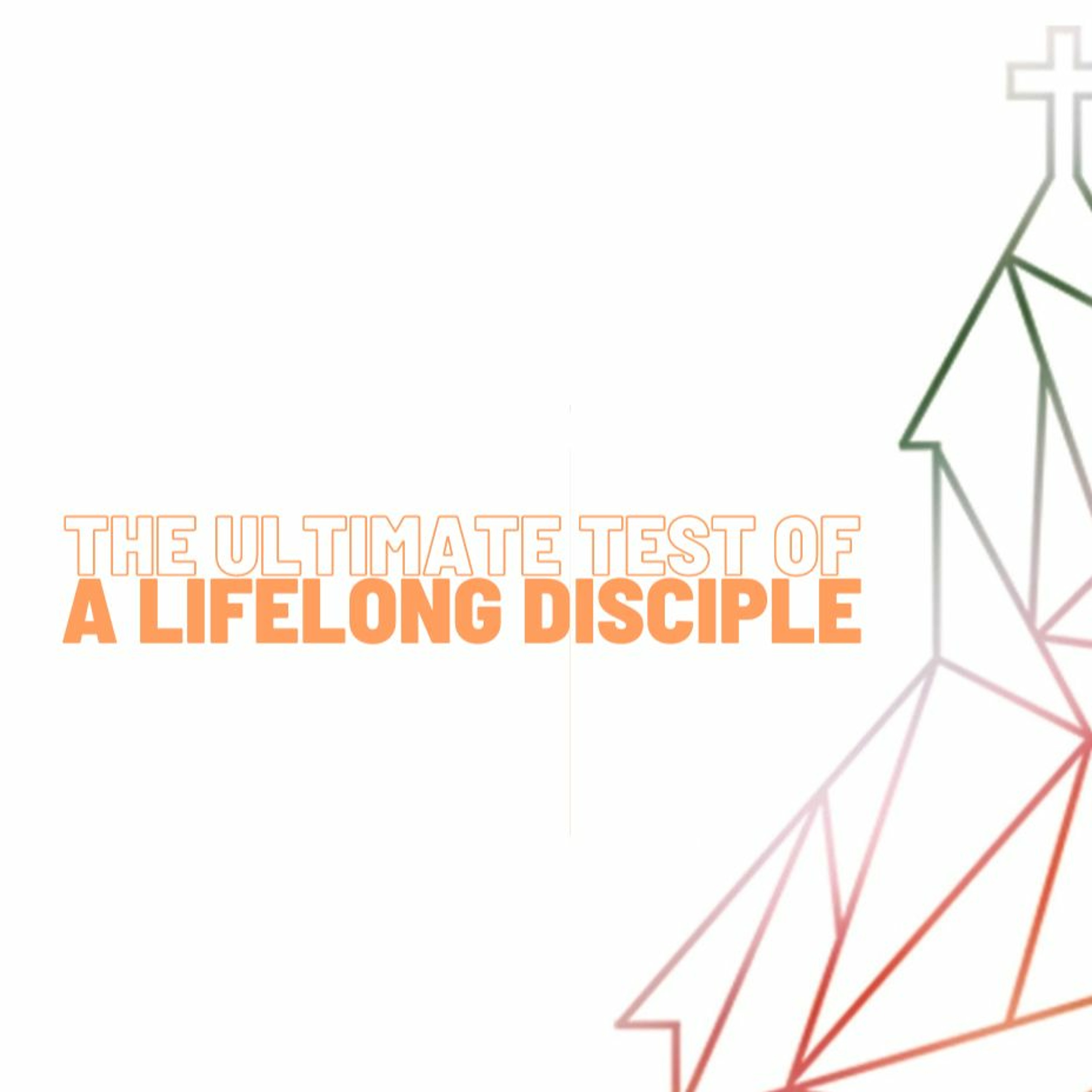 The Ultimate Test of A Lifelong Disciple episode artwork
