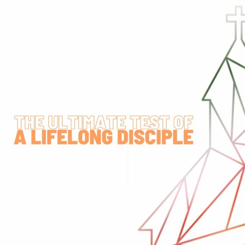 Find Your Next Skill: The Ultimate Resource List for Lifelong Learners