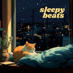 sleepy beats 😴💤