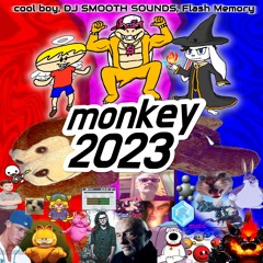 cool boy, DJ SMOOTH SOUNDS, Flash Memory - monkey 2023