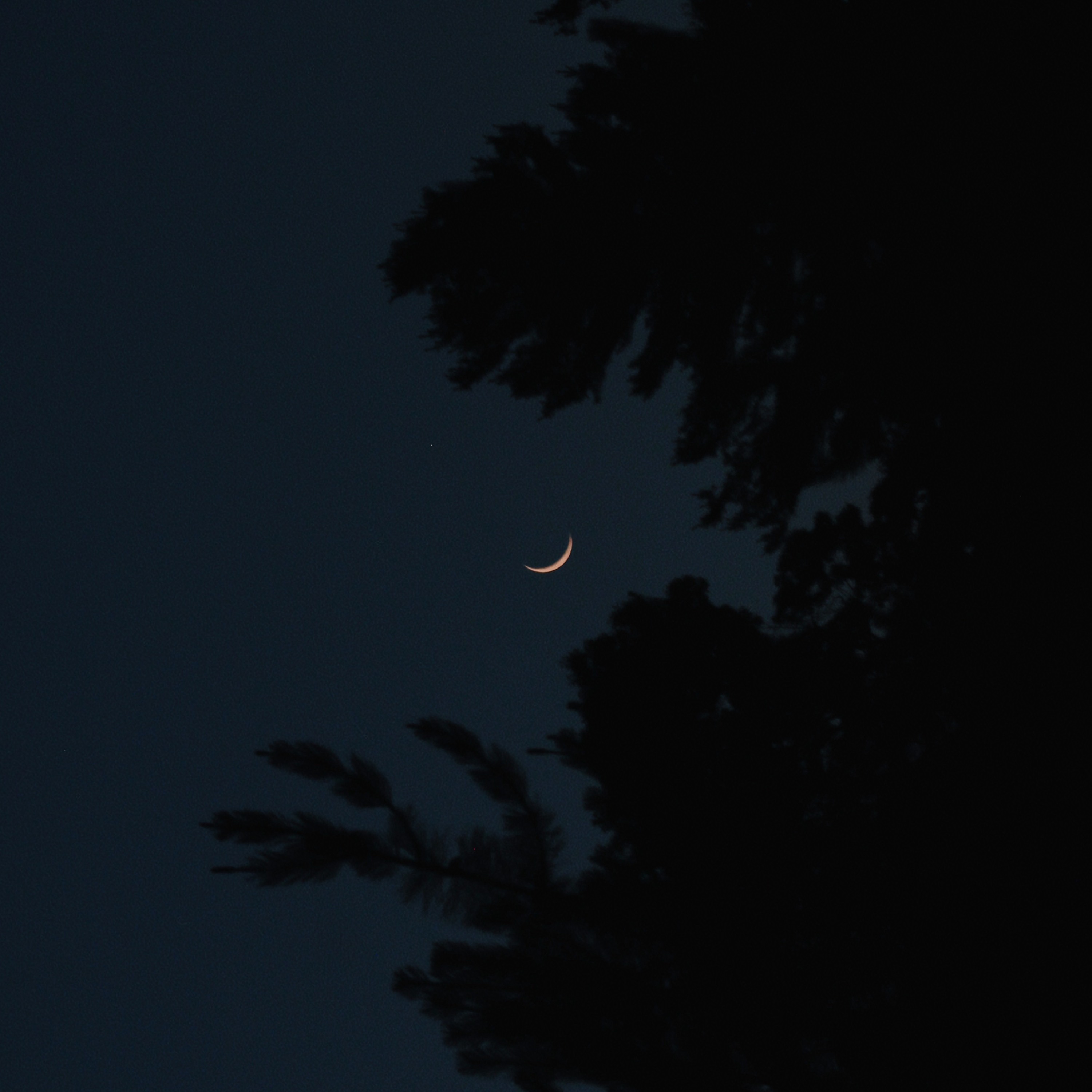 Slow dance under the fraying moon episode artwork