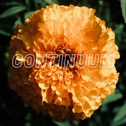 Continuum - Julieta x Le Dé