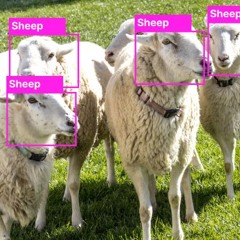 Computer Vision in Agriculture – The Best Applications (2024)