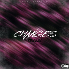 Changes