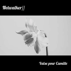 Netwalker - Valse pour Camille