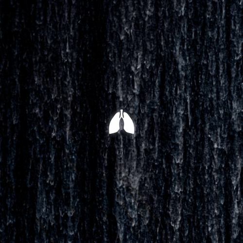 Fall from Grace (Radio Edit)