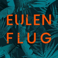 HomeAlone | Eulenflug Festival 2022 | Sternenzelt | Live Recording
