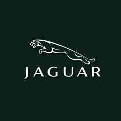 Jaguar - [XAMPLE CHALLENGE]