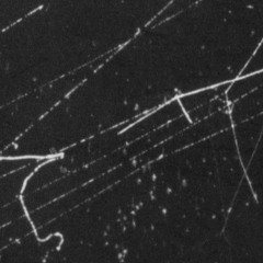DR0000 0164