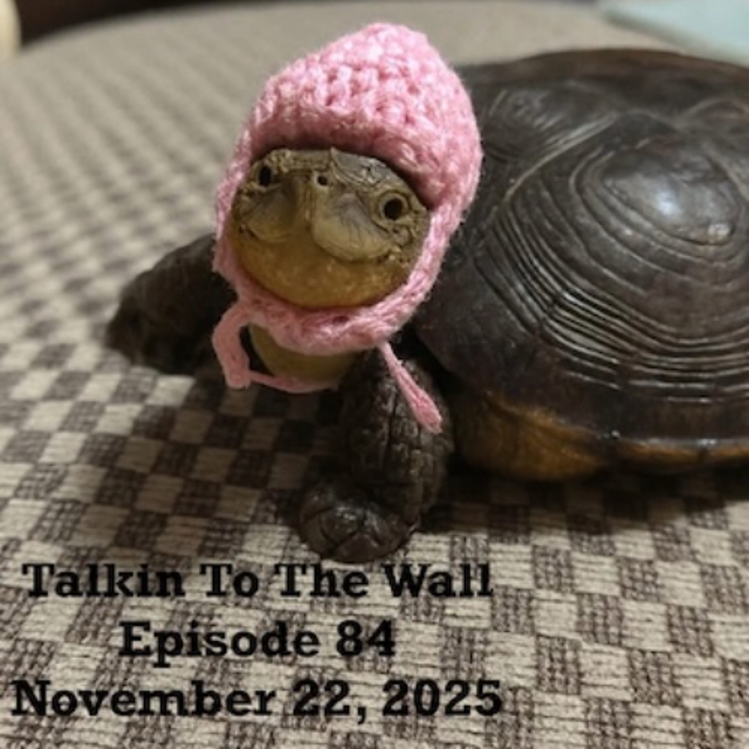 Talkin To The Wall, Episode 84, November 22, 2025 episode artwork