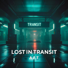 Lost In Transit
