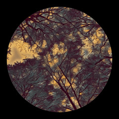 PREMIERE: Caesar - Out Of Time