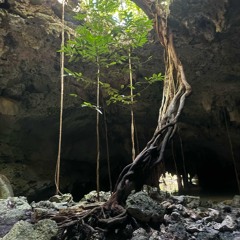 The Calling of the Heart