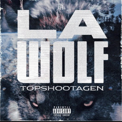 wolfflow ft drako