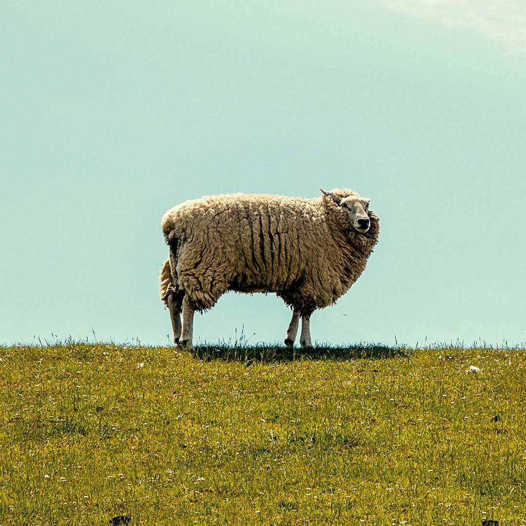 artworks-oK73XzAKazEtGVYK-