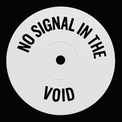 No Signal In The Void (Bandcamp Exclusive)